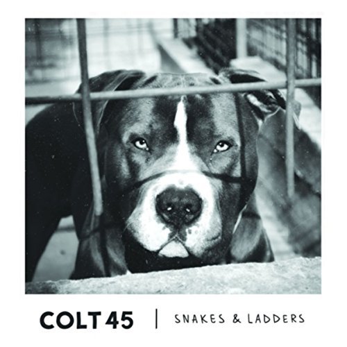 Colt snakes and ladders - -,